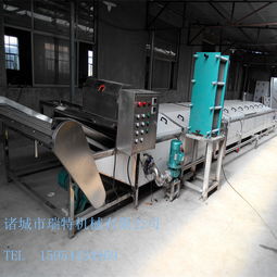 諸城瑞特 專業(yè)黃桃果醬全自動(dòng)不銹鋼巴氏殺菌機(jī)制造商